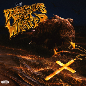 黑人操女人屁眼
