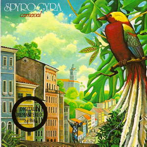 黑人操女人屁眼
