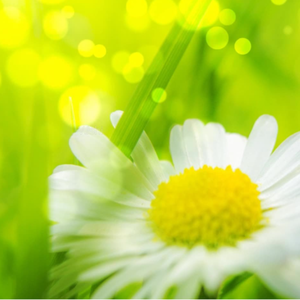 黑人操女人屁眼
